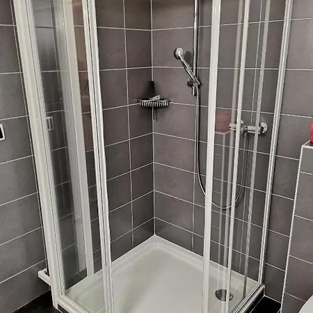 Apartament Markovic Medulin